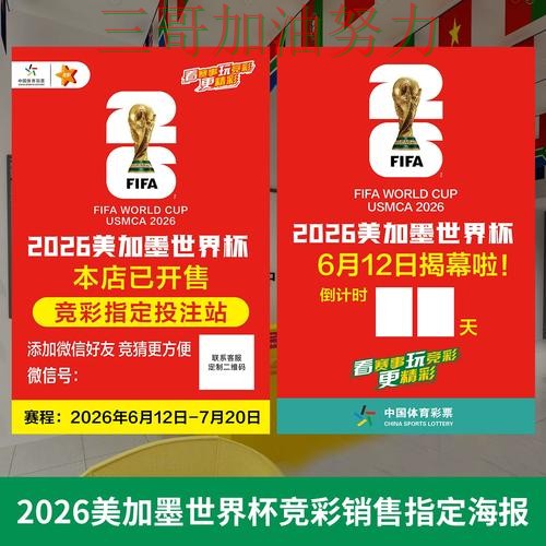 世界杯投注实测对比告诉你：怎么玩的正确方式（2026世界杯）